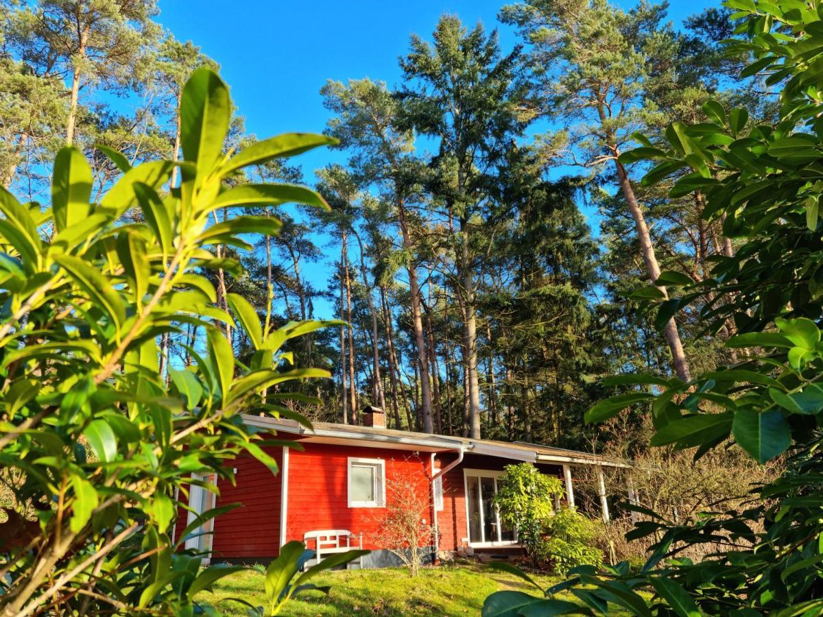 Waldhaus Doetlingen Ferienhaus Im Naturpark Kültér fotó