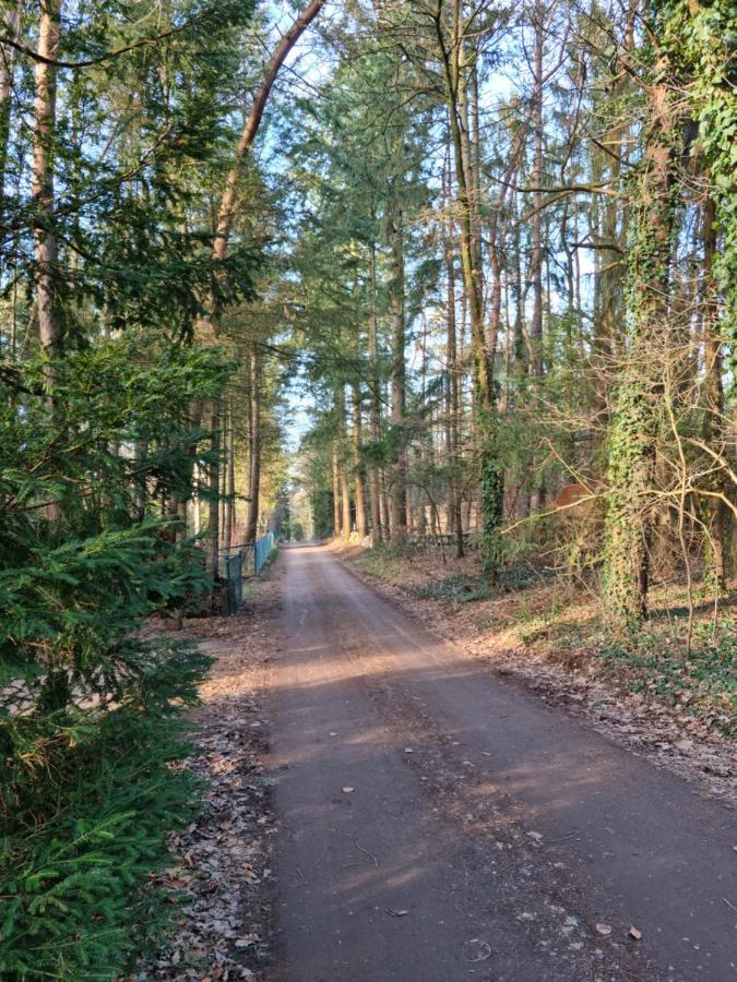 Waldhaus Doetlingen Ferienhaus Im Naturpark Kültér fotó