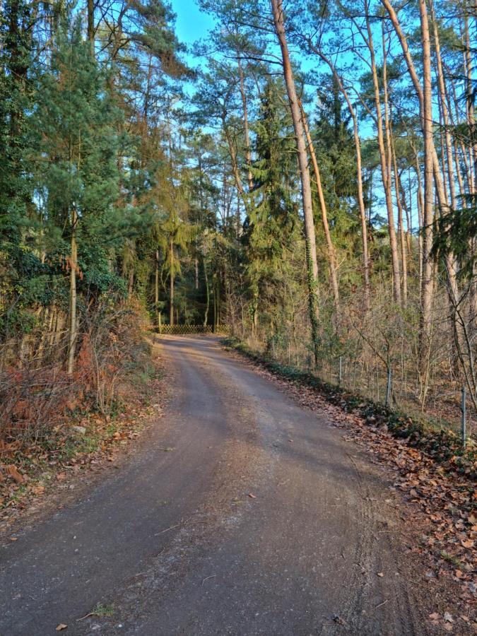 Waldhaus Doetlingen Ferienhaus Im Naturpark Kültér fotó